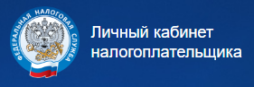 ФНС.png